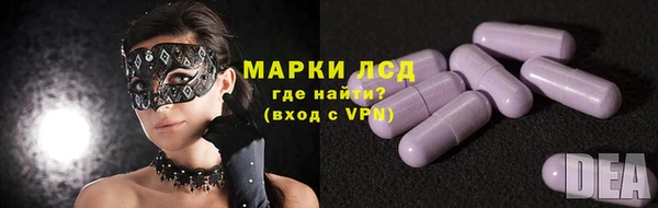 гидра Абаза