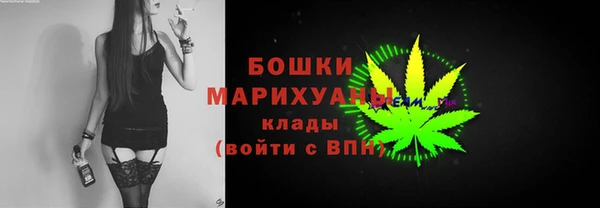 гидра Абаза