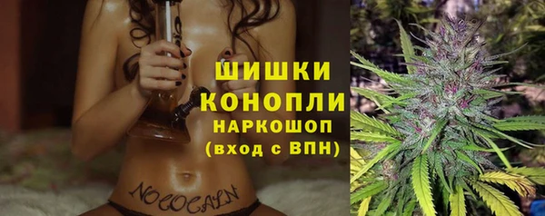 гидра Абаза